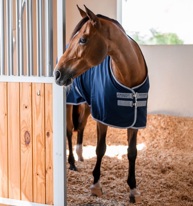 Horseware Amigo® Stable Sheet - Horseware Ireland - Equiluxe Tack