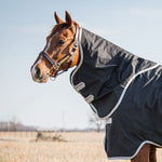 Horseware Amigo® Stock Horse Hood (0g Light) - Horseware Ireland - Equiluxe Tack