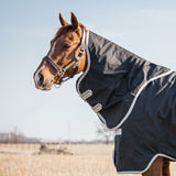 Horseware Amigo® Stock Horse Hood (0g Light) - Horseware Ireland - Equiluxe Tack