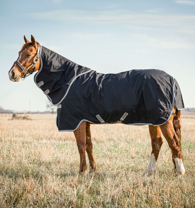 Horseware Amigo® Stock Horse Plus Turnout (0g Light) - Horseware Ireland - Equiluxe Tack