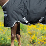 Horseware Amigo® Stock Horse Plus Turnout (200g Medium) - Horseware Ireland - Equiluxe Tack