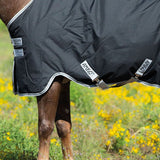 Horseware Amigo® Stock Horse Plus Turnout (200g Medium) - Horseware Ireland - Equiluxe Tack