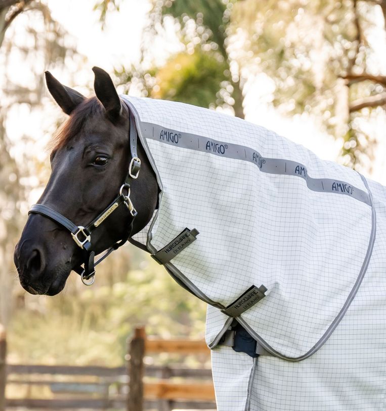 Horseware Amigo® Summer Sheet Plus - Horseware Ireland - Equiluxe Tack