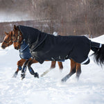 Horseware Amigo® Super Bravo Plus Turnout (250g Medium) - Horseware Ireland - Equiluxe Tack