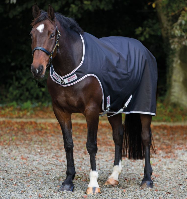 Horseware® Amigo® Walker (100g Light) - Horseware Ireland - Equiluxe Tack