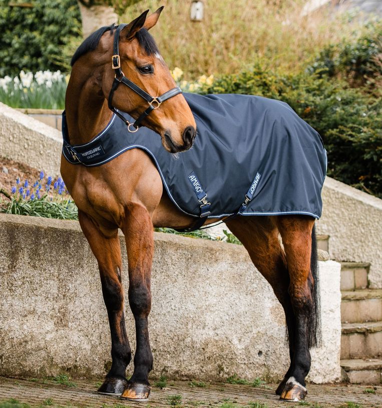 Horseware® Amigo® Walker (100g Light) - Horseware Ireland - Equiluxe Tack