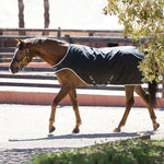 Horseware® Amigo® Walker (200g Medium) - Horseware Ireland - Equiluxe Tack