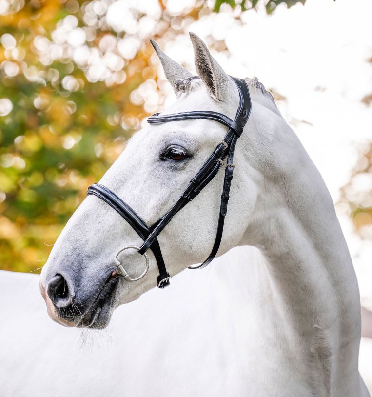Horseware® Cavesson Bridle - Horseware Ireland - Equiluxe Tack
