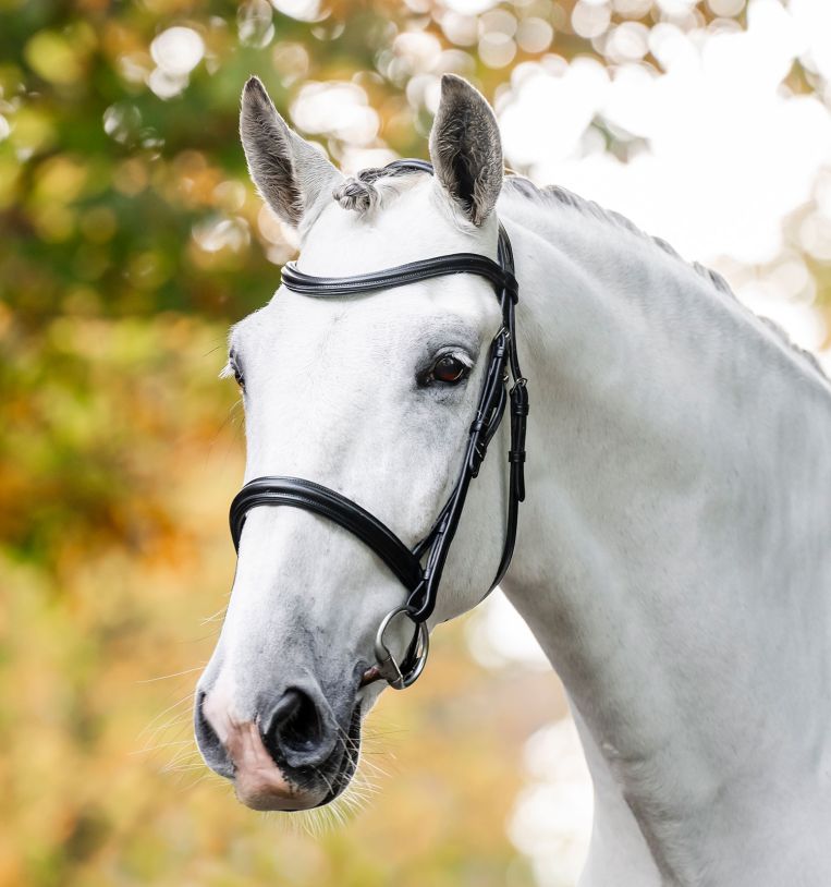 Horseware® Cavesson Bridle - Horseware Ireland - Equiluxe Tack