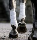 Horseware® Classic Brushing Boots - Horseware Ireland - Equiluxe Tack