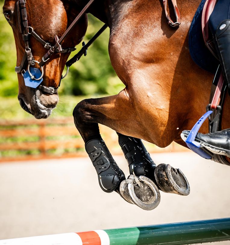 Horseware® Classic Tendon Boots - Horseware Ireland - Equiluxe Tack