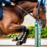 Horseware® Classic Tendon Boots - Horseware Ireland - Equiluxe Tack