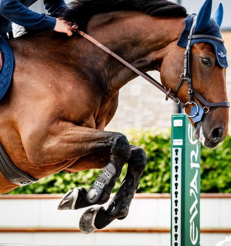 Horseware® Classic Tendon Boots - Horseware Ireland - Equiluxe Tack