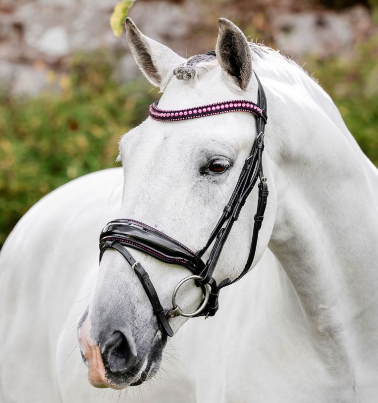 Horseware® Diamante Flash Bridle - Horseware Ireland - Equiluxe Tack