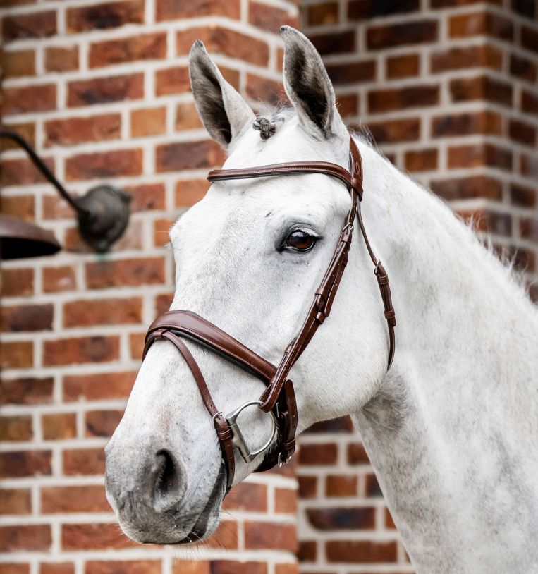 Horseware® Dressage Flash Bridle - Horseware Ireland - Equiluxe Tack