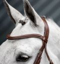 Horseware® Dressage Flash Bridle - Horseware Ireland - Equiluxe Tack