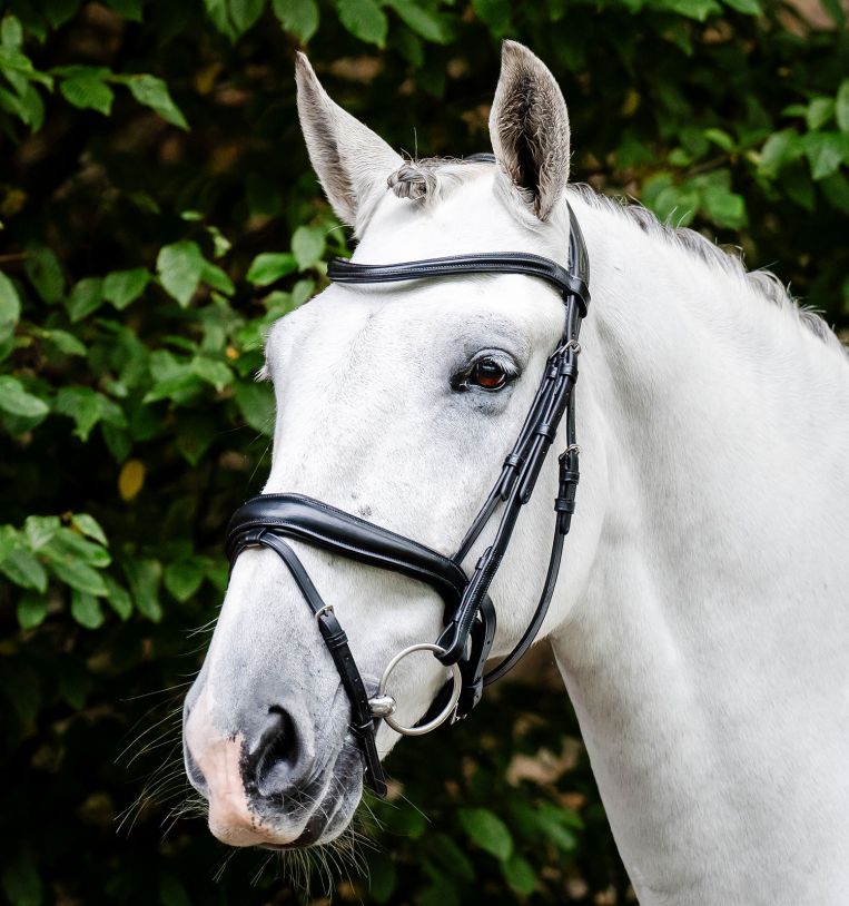 Horseware® Dressage Flash Bridle - Horseware Ireland - Equiluxe Tack