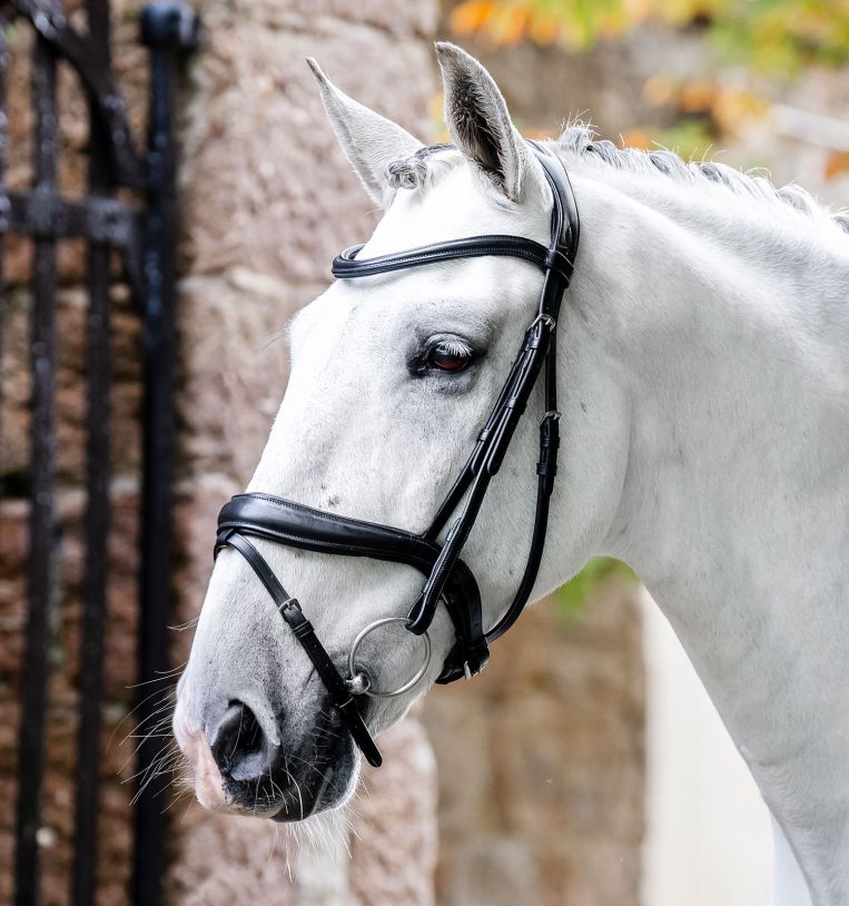 Horseware® Dressage Flash Bridle - Horseware Ireland - Equiluxe Tack