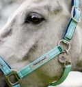 Horseware® Fieldsafe Halter - Horseware Ireland - Equiluxe Tack