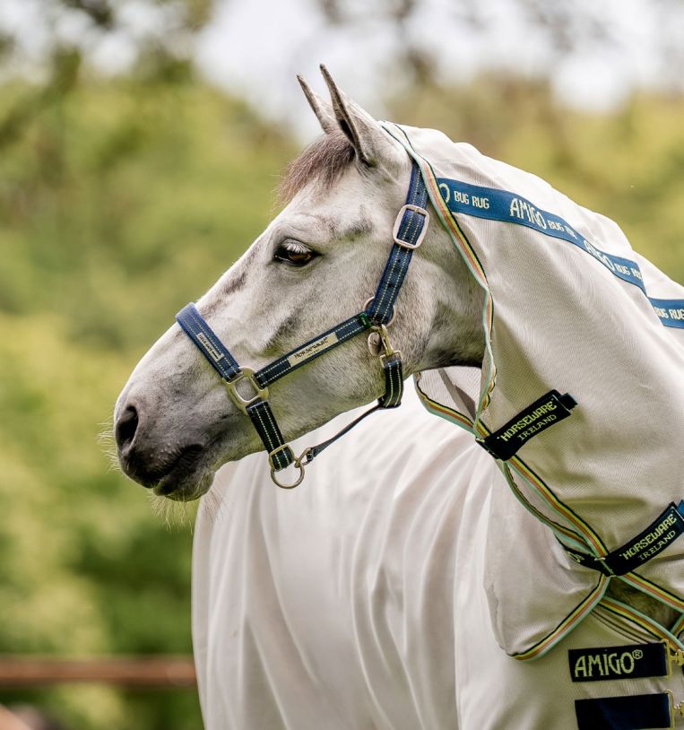 Horseware® Fieldsafe Halter - Horseware Ireland - Equiluxe Tack