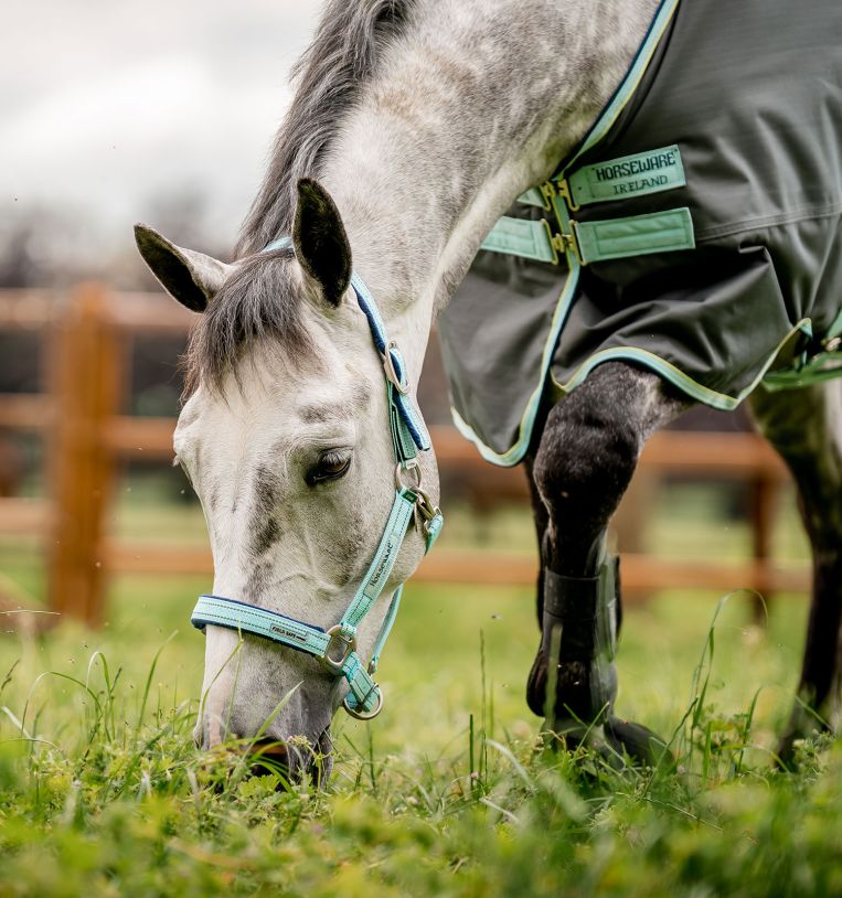 Horseware® Fieldsafe Halter - Horseware Ireland - Equiluxe Tack