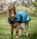 Horseware® Goat Coat 100g - Horseware Ireland - Equiluxe Tack