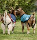 Horseware® Goat Coat 100g - Horseware Ireland - Equiluxe Tack