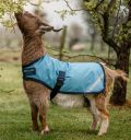 Horseware® Goat Coat 100g - Horseware Ireland - Equiluxe Tack