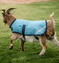 Horseware® Goat Coat 100g - Horseware Ireland - Equiluxe Tack