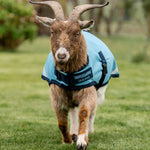 Horseware® Goat Coat 100g - Horseware Ireland - Equiluxe Tack