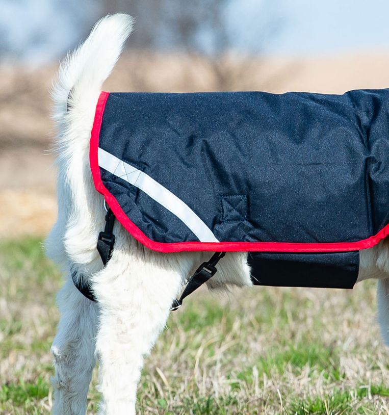 Horseware® Goat Coat (100g Light) - Horseware Ireland - Equiluxe Tack