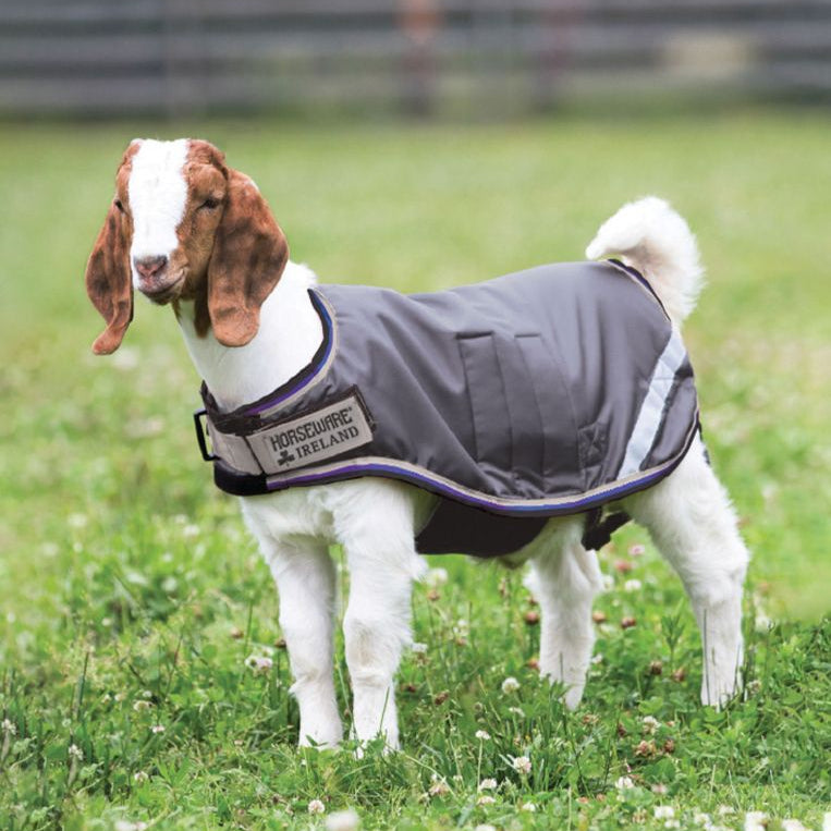 Horseware® Goat Coat (100g Light) - Horseware Ireland - Equiluxe Tack