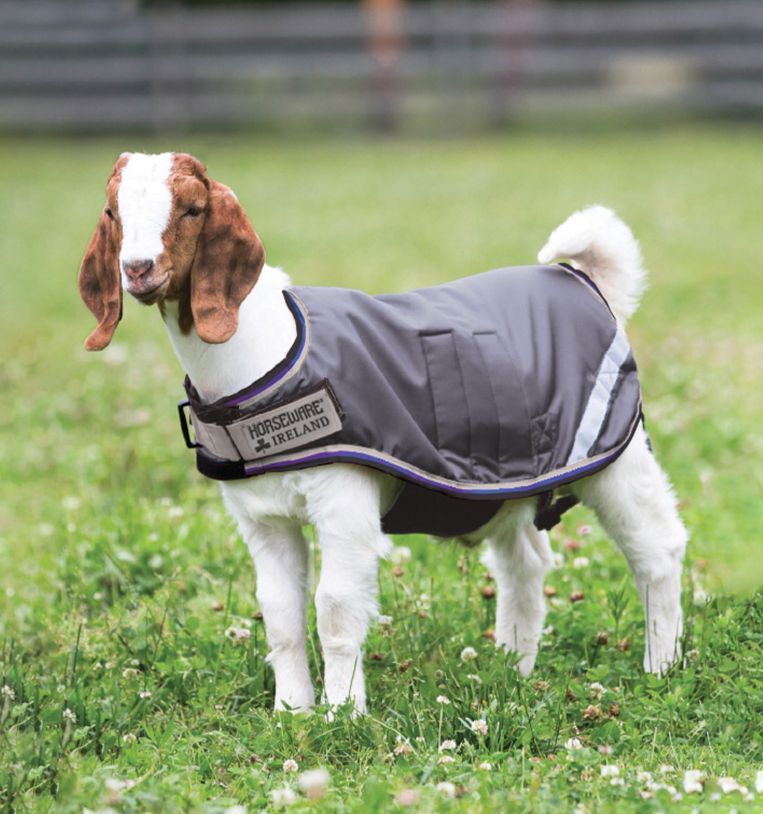 Horseware® Goat Coat (100g Light) - Horseware Ireland - Equiluxe Tack