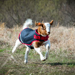 Horseware® Goat Coat (100g Light) - Horseware Ireland - Equiluxe Tack