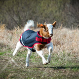 Horseware® Goat Coat (100g Light) - Horseware Ireland - Equiluxe Tack