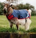 Horseware® Goat Coat 200g - Horseware Ireland - Equiluxe Tack