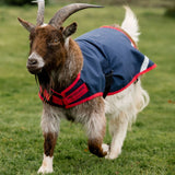 Horseware® Goat Coat 200g - Horseware Ireland - Equiluxe Tack