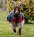 Horseware® Goat Coat 200g - Horseware Ireland - Equiluxe Tack