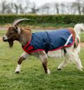 Horseware® Goat Coat 200g - Horseware Ireland - Equiluxe Tack