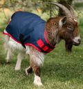 Horseware® Goat Coat 200g - Horseware Ireland - Equiluxe Tack