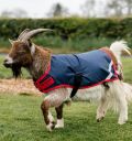 Horseware® Goat Coat 200g - Horseware Ireland - Equiluxe Tack