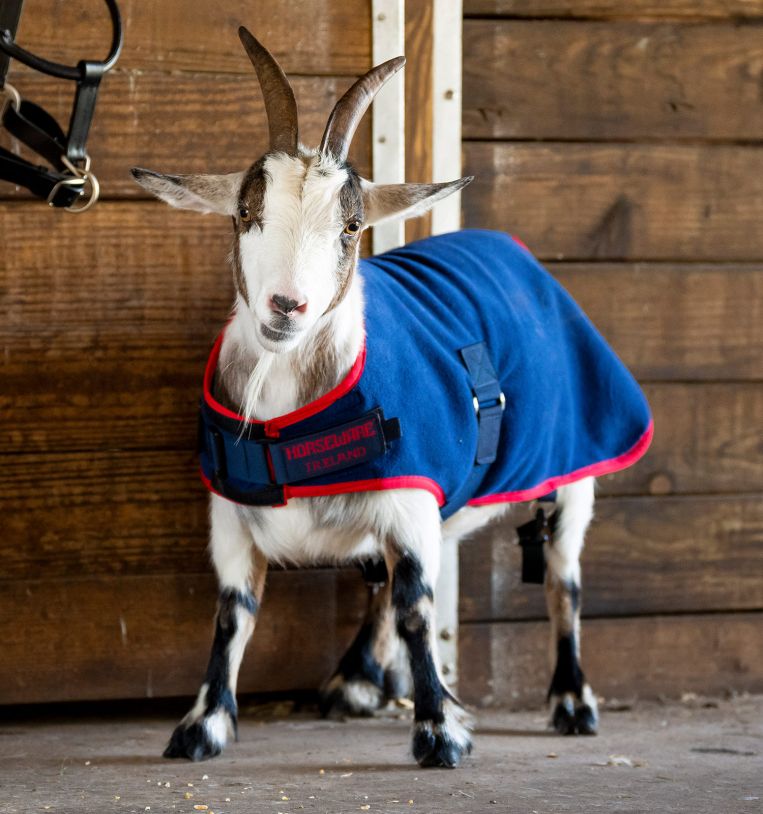 Horseware® Goat Fleece - Horseware Ireland - Equiluxe Tack