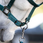 Horseware® Halter & Leadrope - Horseware Ireland - Equiluxe Tack