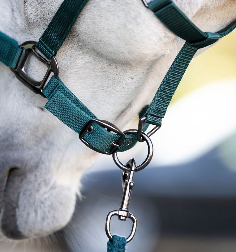 Horseware® Halter & Leadrope - Horseware Ireland - Equiluxe Tack