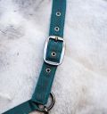 Horseware® Halter & Leadrope - Horseware Ireland - Equiluxe Tack