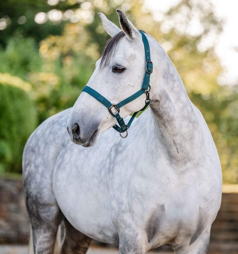 Horseware® Halter & Leadrope - Horseware Ireland - Equiluxe Tack