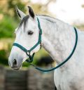 Horseware® Halter & Leadrope - Horseware Ireland - Equiluxe Tack