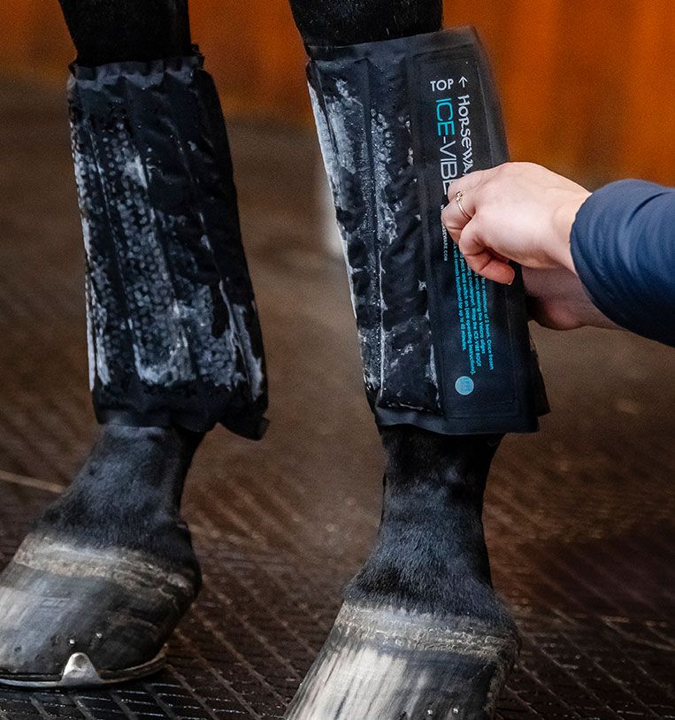 Horseware Ice - Vibe® Cold Packs - Horseware Ireland - Equiluxe Tack