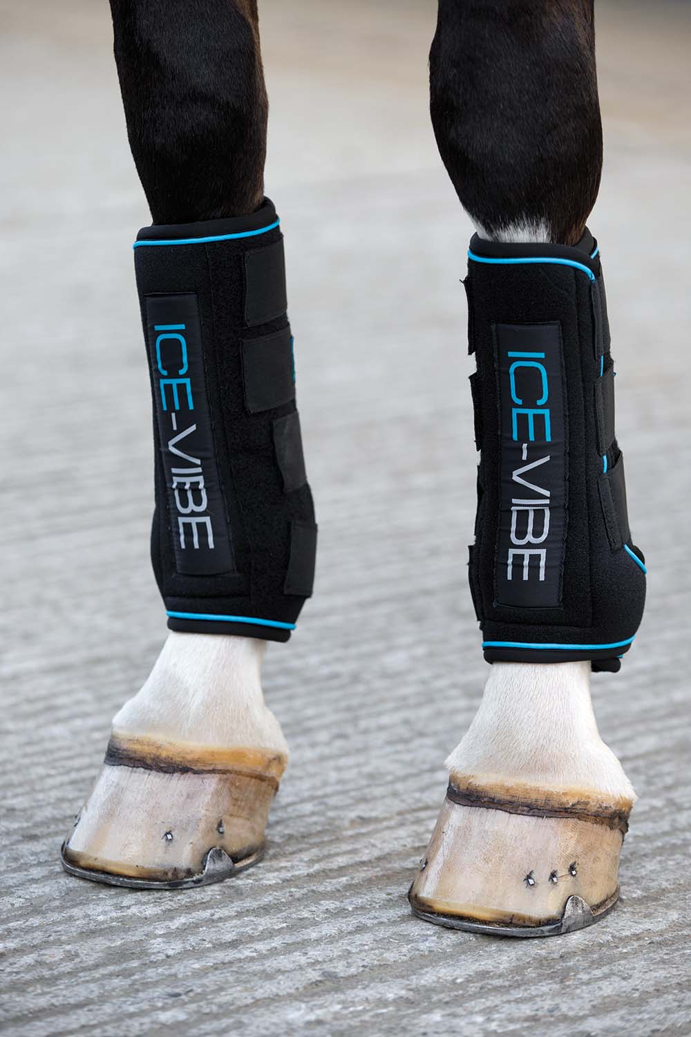 Horseware Ice Vibe Therapy Boot for Horses, 2 Pack - Jeffers - Equiluxe Tack