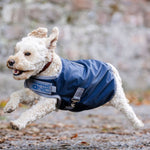 Horseware® Ionic Therapy Dog Coat 50g - Horseware Ireland - Equiluxe Tack
